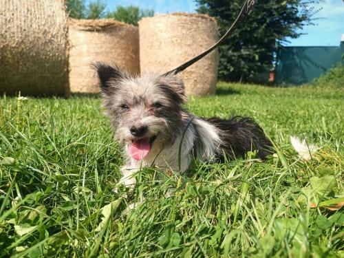 532434542_1259673962044763_3014790910316988181_n