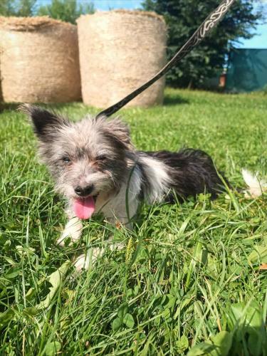 533498171_1748935669832250_1018549803392931929_n