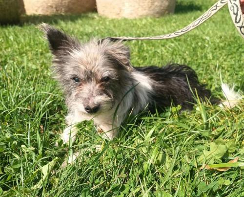 534570666_4137316919887240_7693117759501411800_n