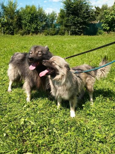 539530013_24686507784316402_4054349550736391149_n