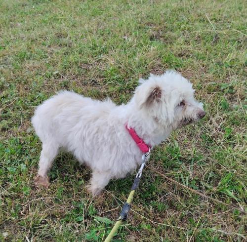 540672732_24686493387651175_5949463624088246113_n