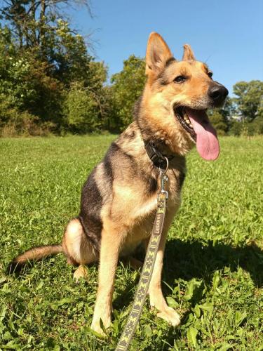 540763751_1134063358637306_3441273527053716400_n