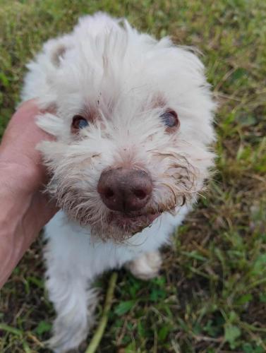 540840642_24686493160984531_2504381590957266549_n