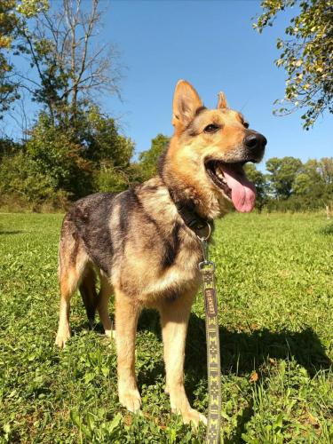 540975551_2200698240434390_8052573264109078913_n