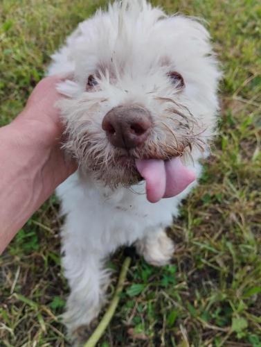 541051536_24686493017651212_5014057811638626896_n