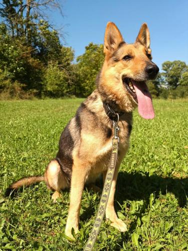 541166663_1897407861116226_5220503812792237020_n