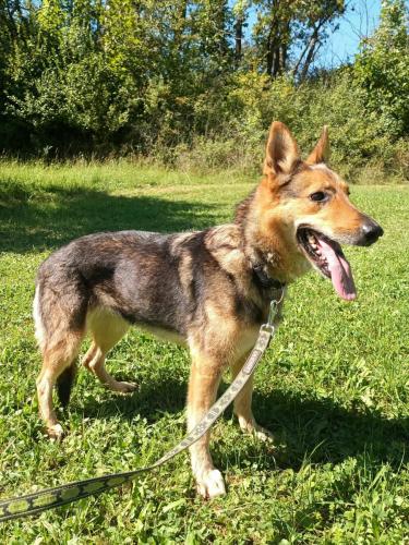 541189304_2018576752291605_5731182195374289799_n