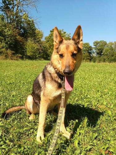 541271909_1491345518755235_6408938679750310291_n