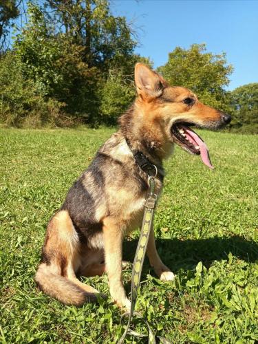 541275895_1798626131533964_444768786742648281_n