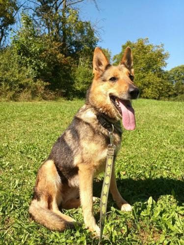 541394238_755872374027244_4768149504475231716_n