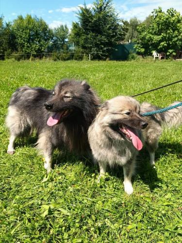 541415447_24686507340983113_5887889021911120021_n