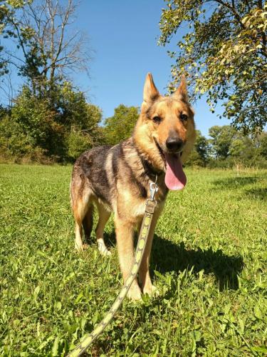 542013731_780626061121267_2849161647115028595_n