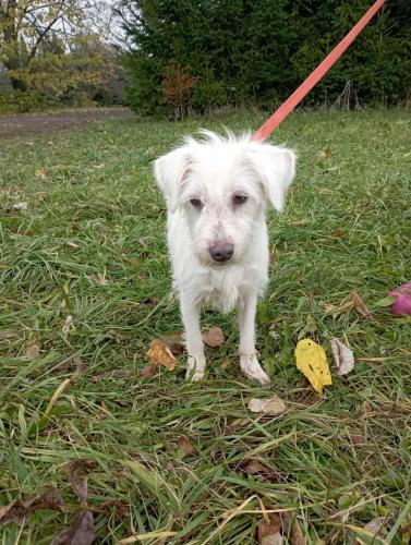 550521671_1902090573681160_7391669693638078390_n