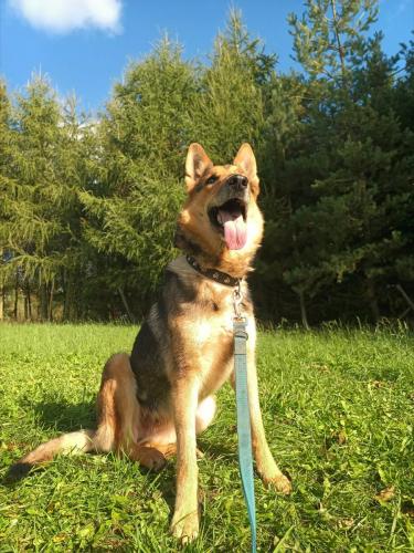 552635346_1450649679345780_7035475533611028428_n