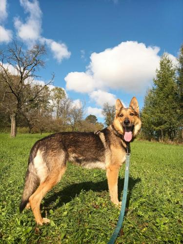 552655615_24988201044123402_9131582374603302815_n