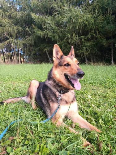 552830288_2097981847275591_780949576893865618_n