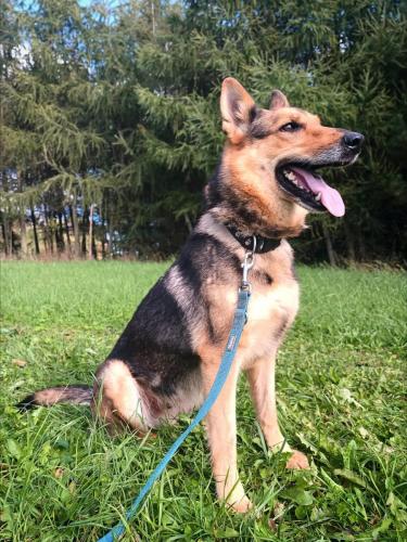 552986382_24986726410967738_5385025802355675730_n