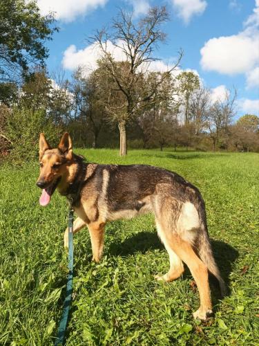 553057813_1695560897771542_2604572193244986271_n