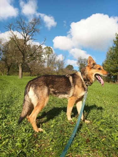 553141752_777358118423151_435206346869217954_n