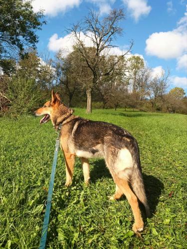 553597184_802417595598068_6779884181567037631_n