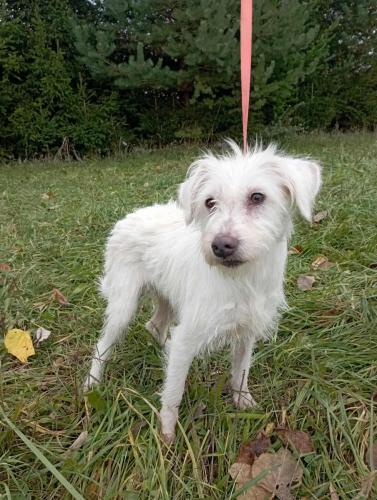 554089317_1169494085105412_5790851376908608290_n