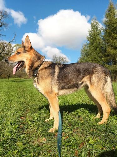 554197599_959706553022362_4340407413728437593_n