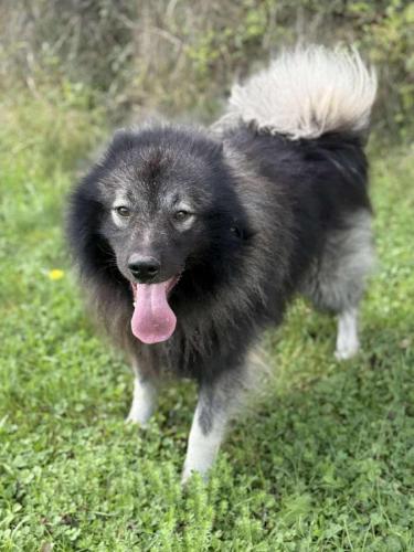 555593923_24916876384612873_6074045618790520764_n