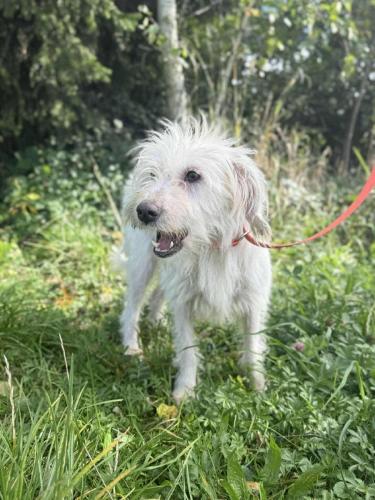 555719411_24917149711252207_3525241745105637584_n