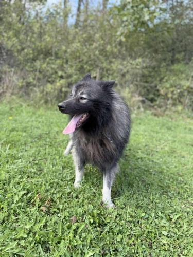 555781971_24916877131279465_8209306434571549697_n