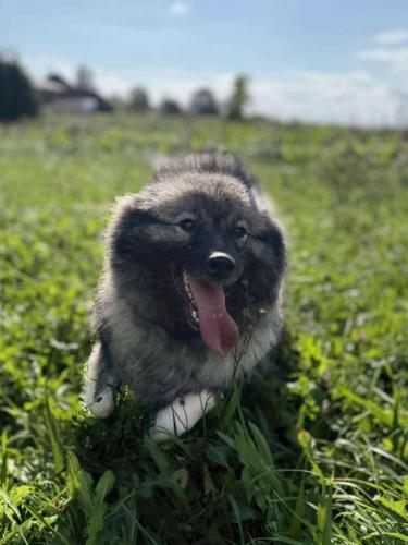 555993927_24916878424612669_1861790710330093564_n