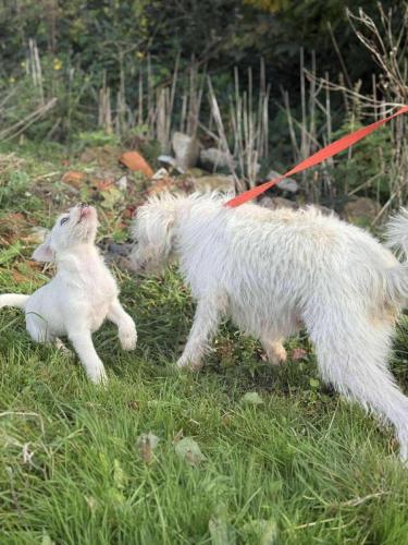 556021126_24917150321252146_1724771679462567110_n