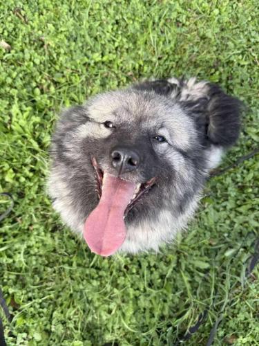 556121404_24916877864612725_3471061500884197052_n