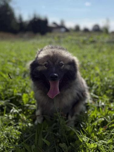 556413082_24916878247946020_2427109296861703946_n