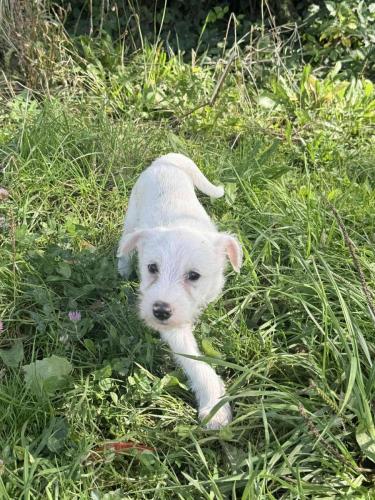 556604700_24917150864585425_8127151780734107120_n