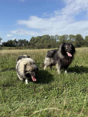 556859230_24916876044612907_1780918853258424342_n