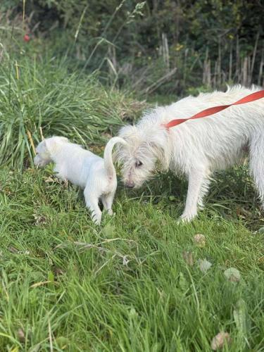 556861395_24917150577918787_2363225222003790656_n