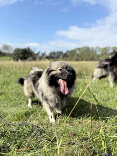 557002638_24916878051279373_6148286856211118697_n