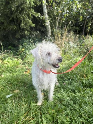 557247835_24917149924585519_6856165108281439945_n