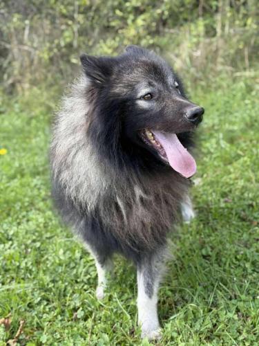 557598956_24916876734612838_5175052276562469816_n