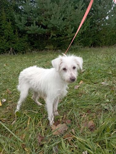 566579487_1522778092089769_360604083988277765_n