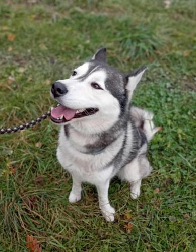 576208728_25288392020794639_4689570713015108458_n