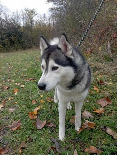 577144167_25288393364127838_3619730862917535008_n