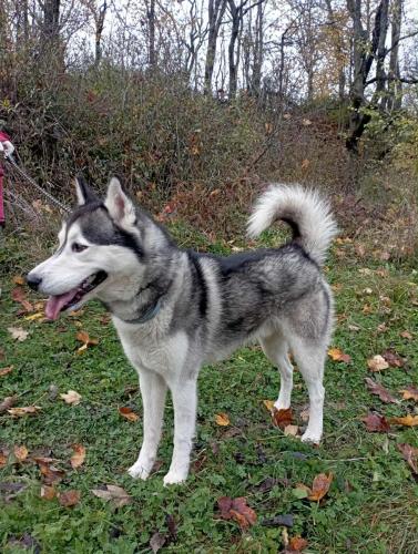 577147576_25288394394127735_1911652776693313568_n