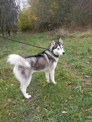 577166656_25288395077461000_653266904563662020_n