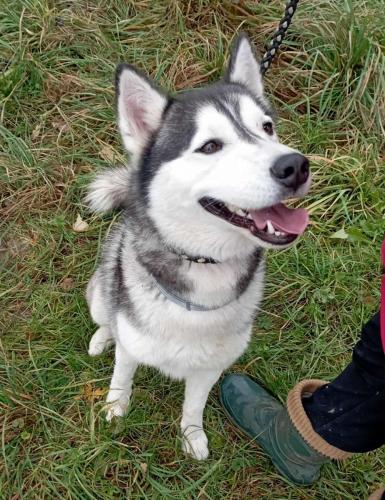 577181527_25288391834127991_571096541422401238_n