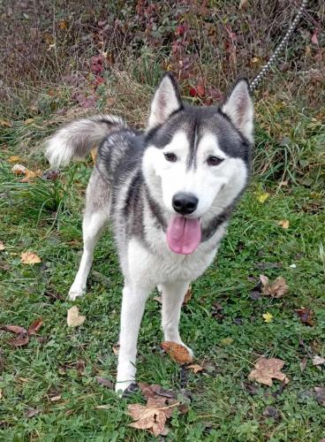 577203953_25288392290794612_7655740531301391077_n