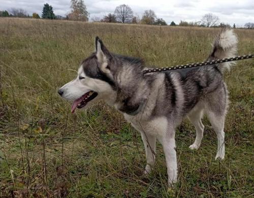 577327349_25288394740794367_9200227062687140817_n