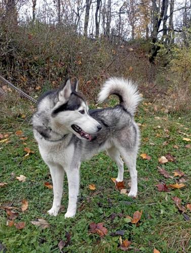 577346230_25288394057461102_6640025763285250284_n