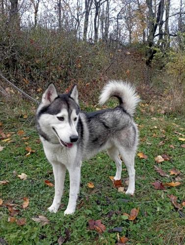 577372665_25288392690794572_1825205763770168290_n