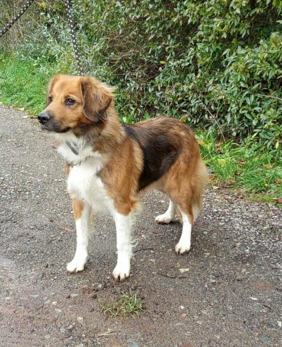 581112636_25336610175972823_2950639378807536779_n